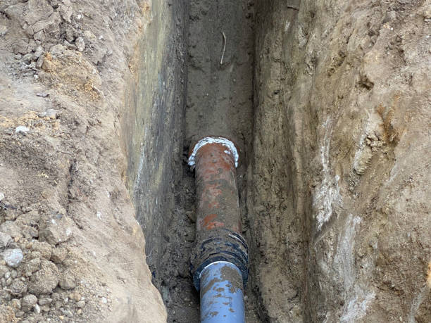 Best Flood restoration services  in Seymour, TX
