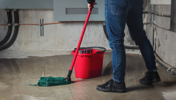 Best Water damage restoration near me  in Seymour, TX