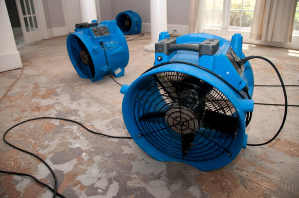 Best Commercial water damage restoration  in Seymour, TX