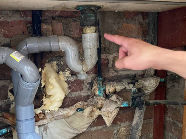 Best Mold removal after water damage  in Seymour, TX